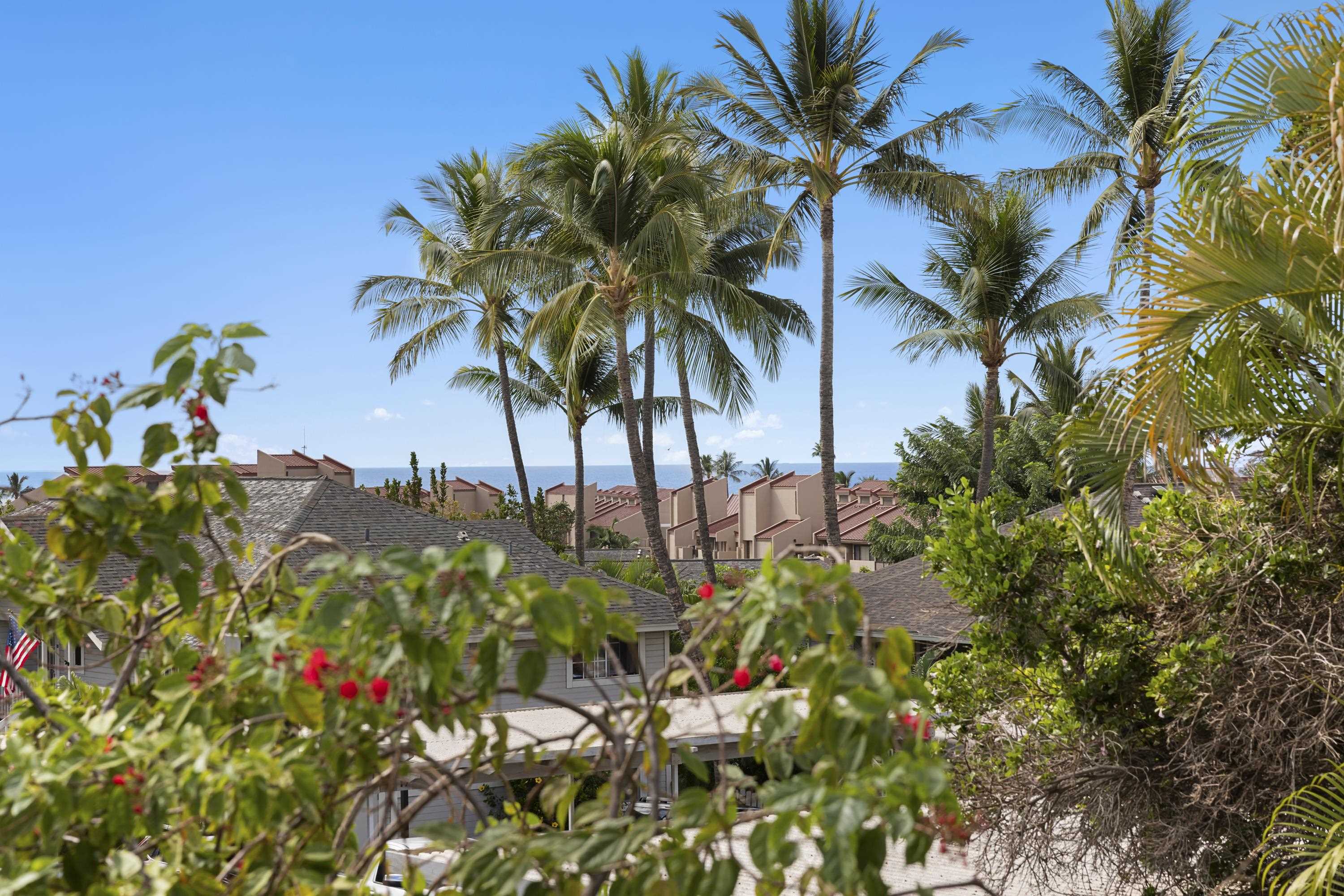 160 Keonekai Road, Unit 22201 Kihei, HI 96753 - Photo 17 of 37 a view of a flower