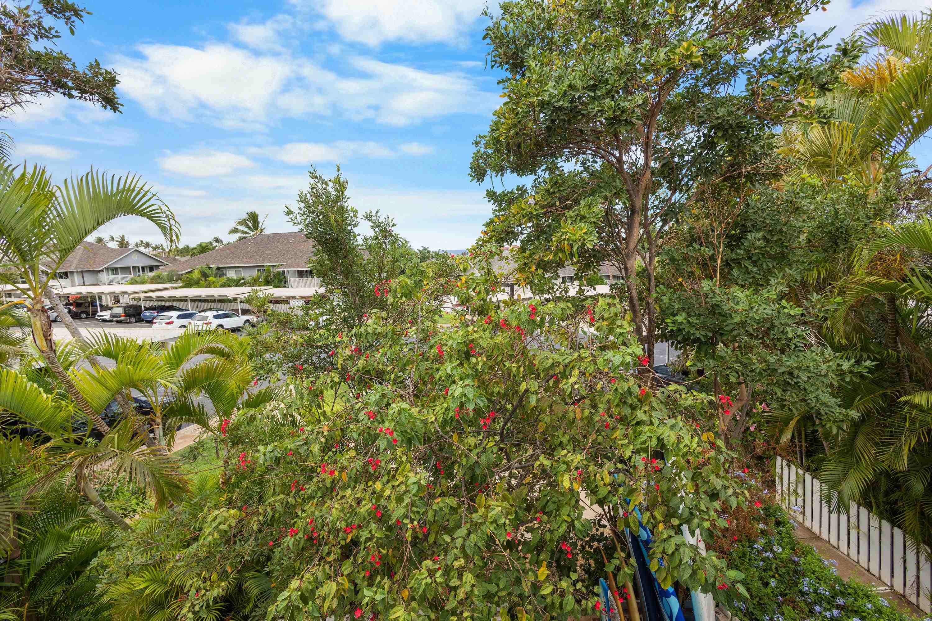 160 Keonekai Road, Unit 22201 Kihei, HI 96753 - Photo 35 of 37 a view of a large yard with plants and a large tree