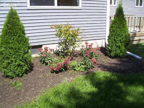 8159 Carpenter Road Flushing, MI 48433 - Photo 10 of 48 20448798-9.JPG
