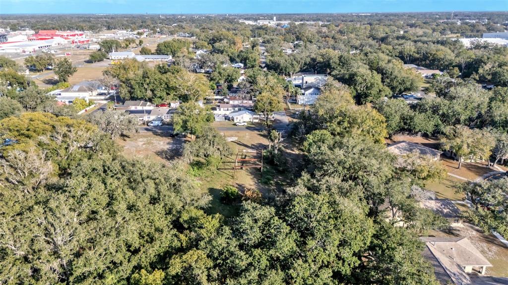 23 Violet Street Plant City, FL 33563 - Photo 11 of 13 an aerial view of house with yard and mountain view in back