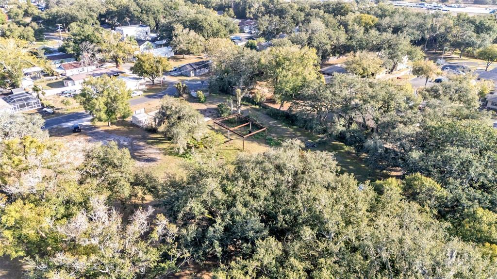 23 Violet Street Plant City, FL 33563 - Photo 12 of 13 a view of outdoor space and trees
