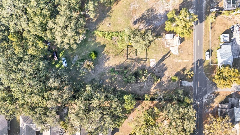 23 Violet Street Plant City, FL 33563 - Photo 13 of 13 a backyard of a house with lots of green space
