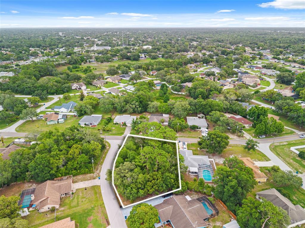 Horizon Dr Spring Hill Spring Hill, FL 34608 - Photo 9 of 12