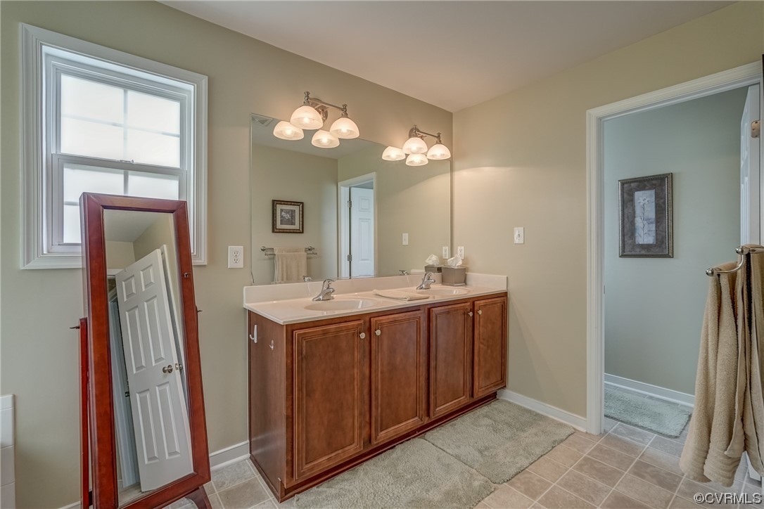 2407 Cascade Meadows Drive Midlothian, VA 23112 - Photo 32 of 48 a bathroom with a sink a vanity and a mirror