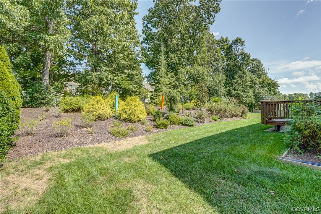 2407 Cascade Meadows Drive Midlothian, VA 23112 - Photo 44 of 48 a view of a yard with plants and large trees