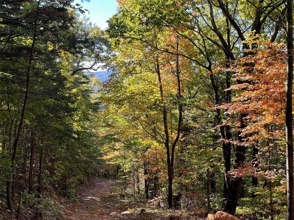 0 Tickanetley Road Ellijay, GA 30536 - Photo 3 of 9