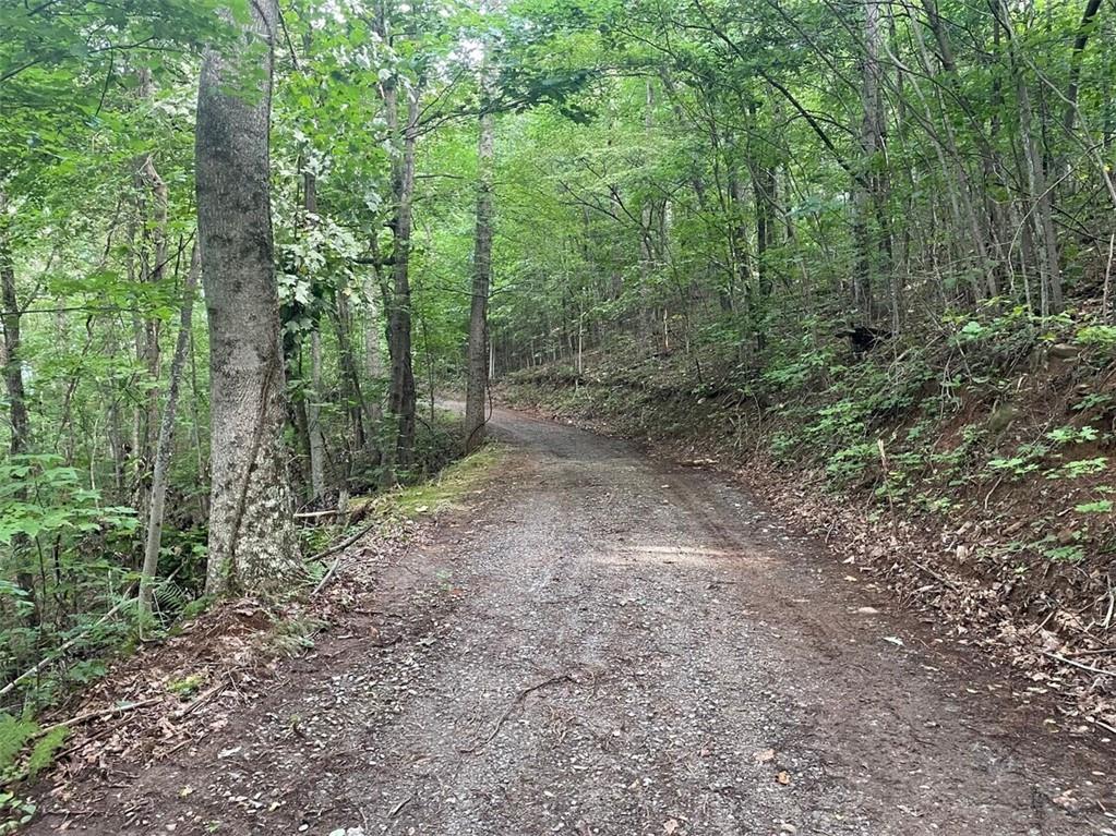0 Tickanetley Road Ellijay, GA 30536 - Photo 6 of 9 a view of a forest with trees in the background