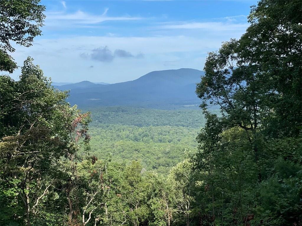 0 Tickanetley Road Ellijay, GA 30536 - Photo 7 of 9 a view of a yard with an outdoor space and deck