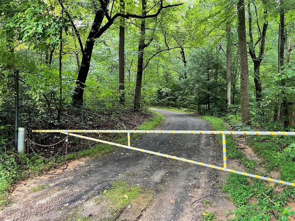 0 Tickanetley Road Ellijay, GA 30536 - Photo 8 of 9 a view of a backyard