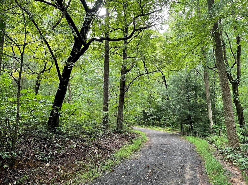 0 Tickanetley Road Ellijay, GA 30536 - Photo 9 of 9 a view of a garden with plants and trees