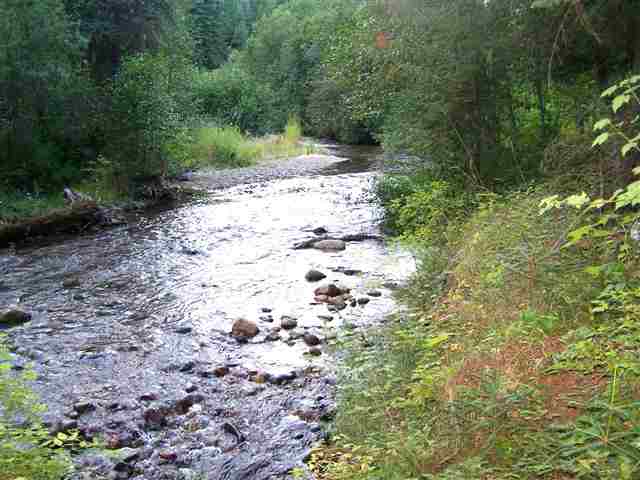 271 Leclerc Creek Road Cusick, WA 99119 - Photo 1 of 8 Gallery Image 1