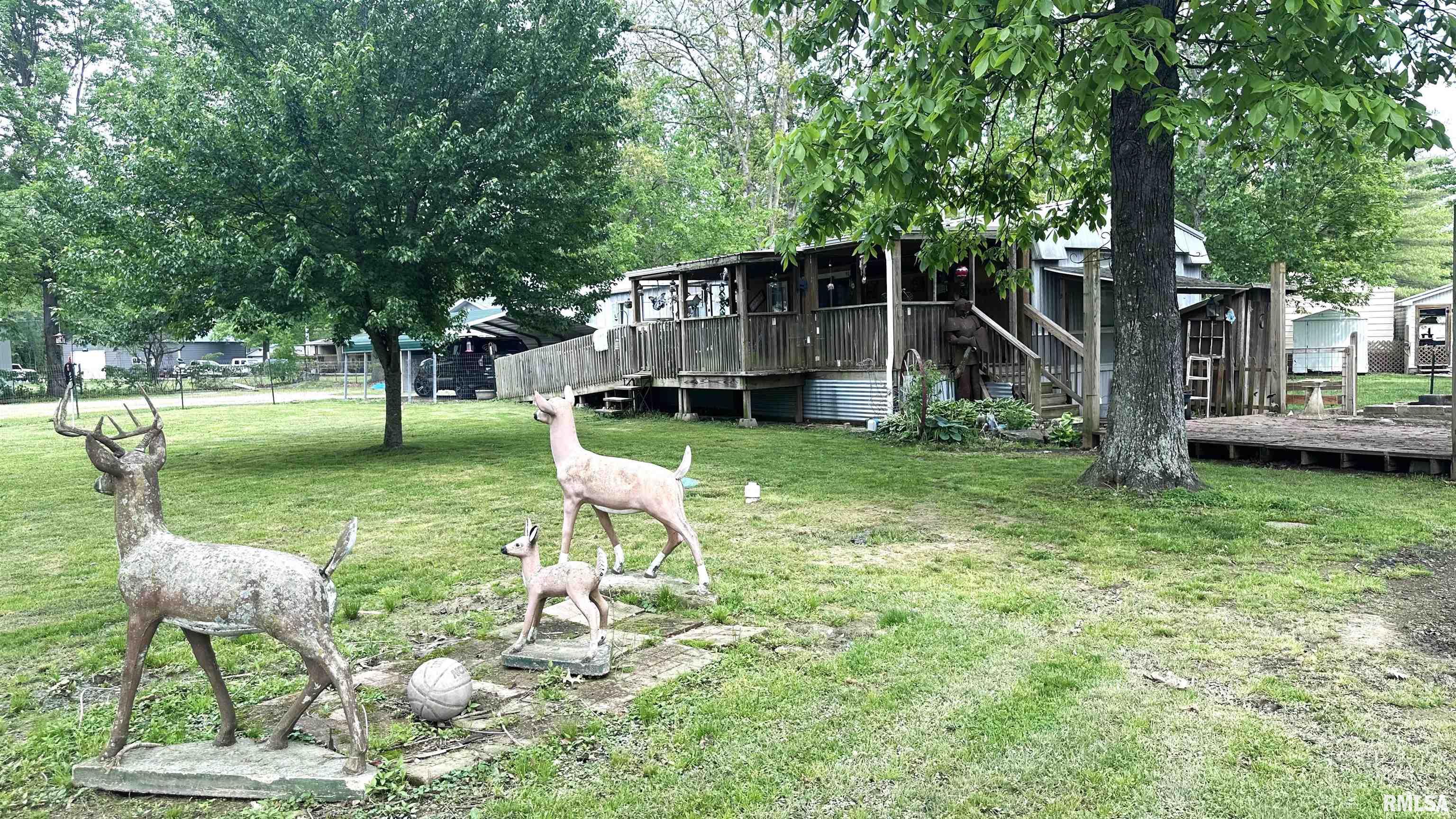 1032 Mohawk Trail Centralia, IL 62801 - Photo 22 of 25