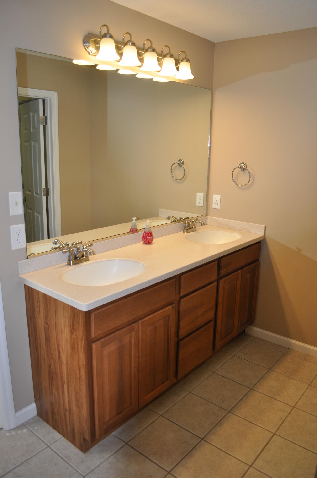 904 Crown Ridge Ln, Powell, TN 37849 - Photo 14 of 25 14 Master Bath