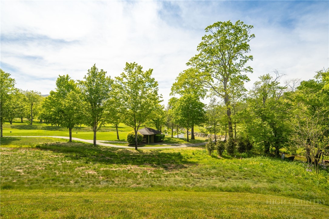 147 Riverside Park Court, Unit G2 Jefferson, NC 28640 - Photo 14 of 44 a view of yard with swimming pool and green space