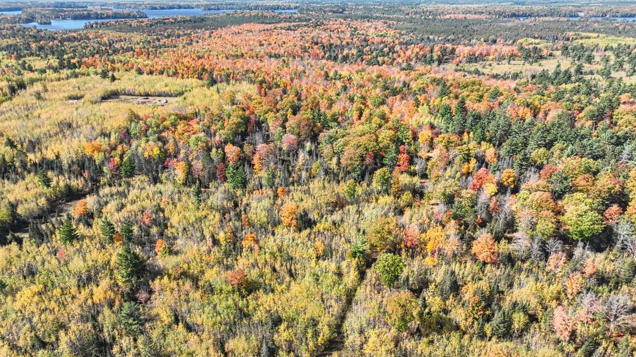 Three Reed Road Three Lakes, WI 54562 - Photo 23 of 28 Gallery Image 23