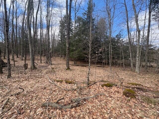4 4 Mile Road Evart, MI 49631 - Photo 14 of 30