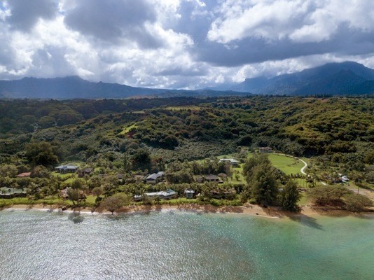 3671 Anini Road Princeville, HI 96722 - Photo 11 of 11 a view of a bunch of trees and houses