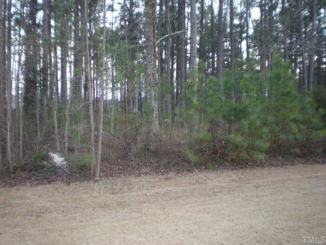 8159 Rhiannon Road Raleigh, NC 27613 - Photo 9 of 12 a view of a forest