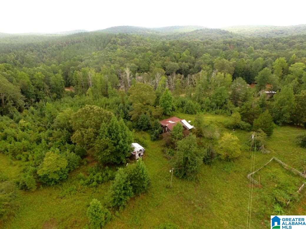 796 Alawashky Road, Unit 46 ACRES Ashland, AL 36251 - Photo 9 of 17