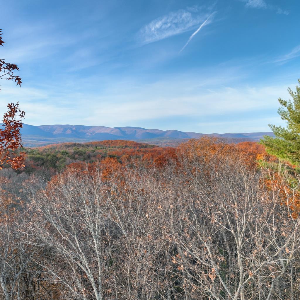 Lot 11 Creek Camp Road Ellijay, GA 30536 - Photo 1 of 40 a view of an outdoor space and a yard