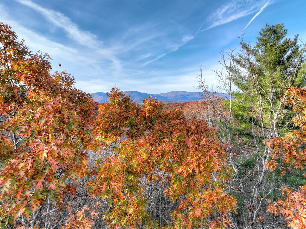 Lot 11 Creek Camp Road Ellijay, GA 30536 - Photo 11 of 40 a view of a yard