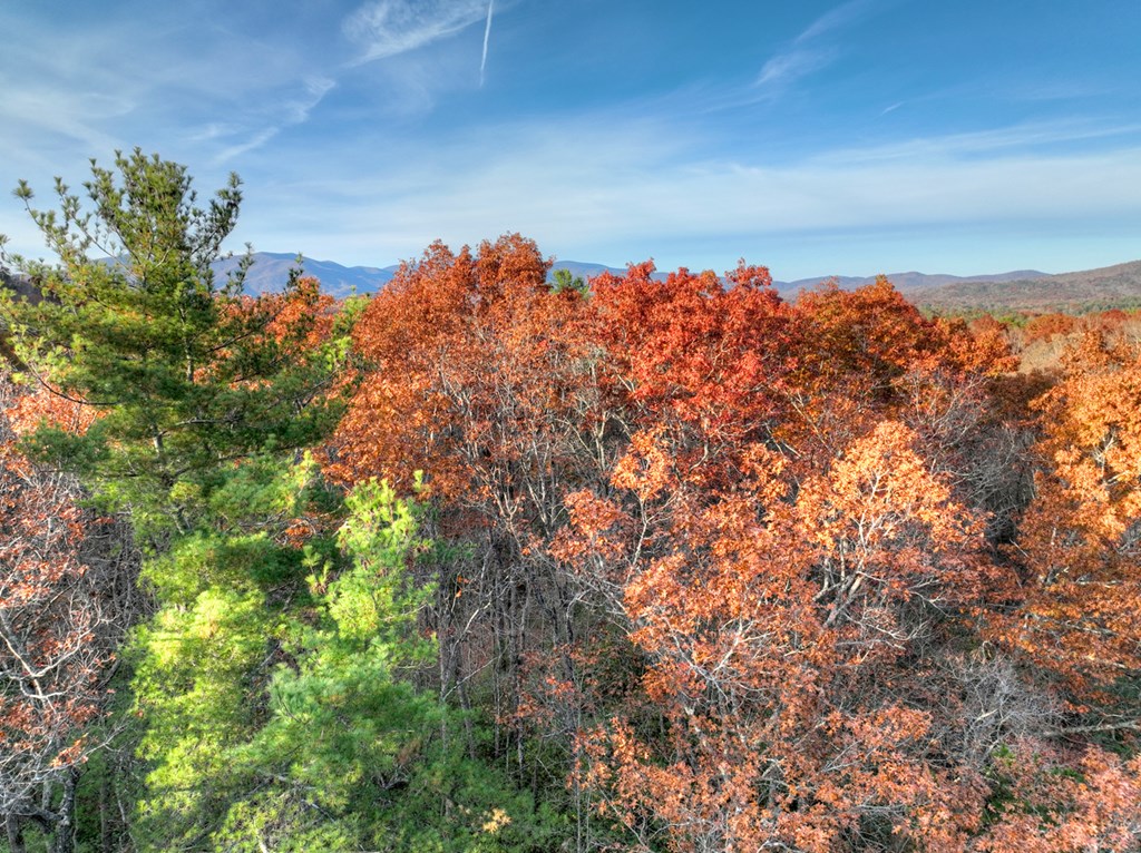 Lot 11 Creek Camp Road Ellijay, GA 30536 - Photo 18 of 40 a view of a lake