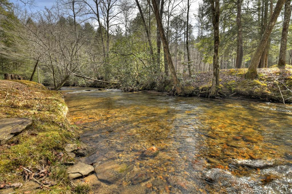 Lot 11 Creek Camp Road Ellijay, GA 30536 - Photo 24 of 40 a view of a yard with an trees