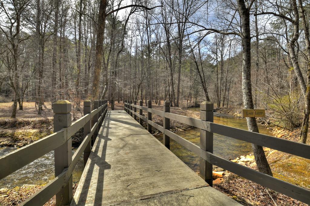 Lot 11 Creek Camp Road Ellijay, GA 30536 - Photo 25 of 40 a view of mountain with two trees