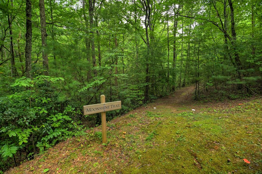 Lot 11 Creek Camp Road Ellijay, GA 30536 - Photo 28 of 40 a view of a back yard