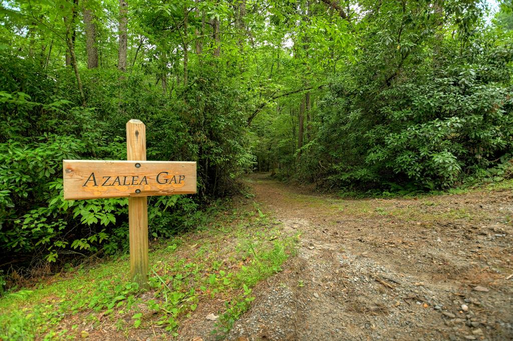 Lot 11 Creek Camp Road Ellijay, GA 30536 - Photo 29 of 40 a street sign that is sitting in the grass