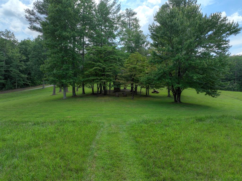 Lot 11 Creek Camp Road Ellijay, GA 30536 - Photo 32 of 40 a view of green field with trees in the background