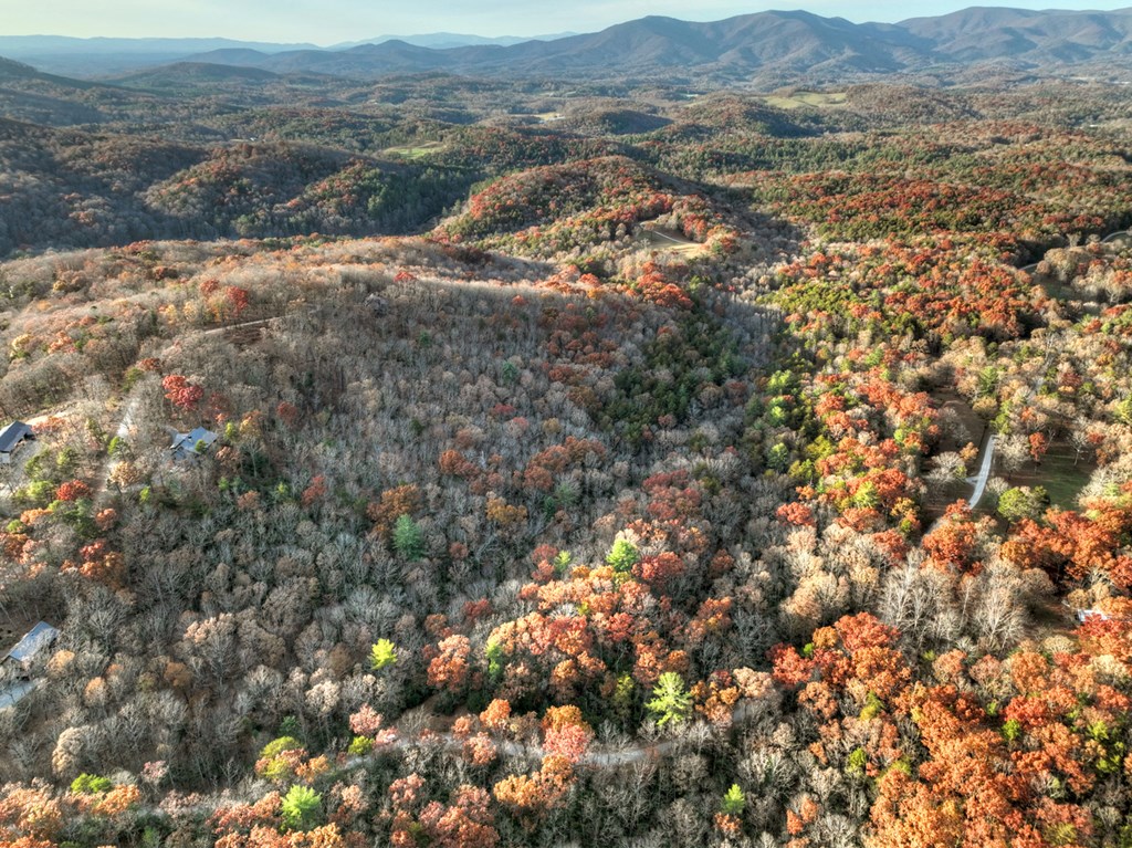 Lot 11 Creek Camp Road Ellijay, GA 30536 - Photo 34 of 40 a view of a mountain range with lush green forest