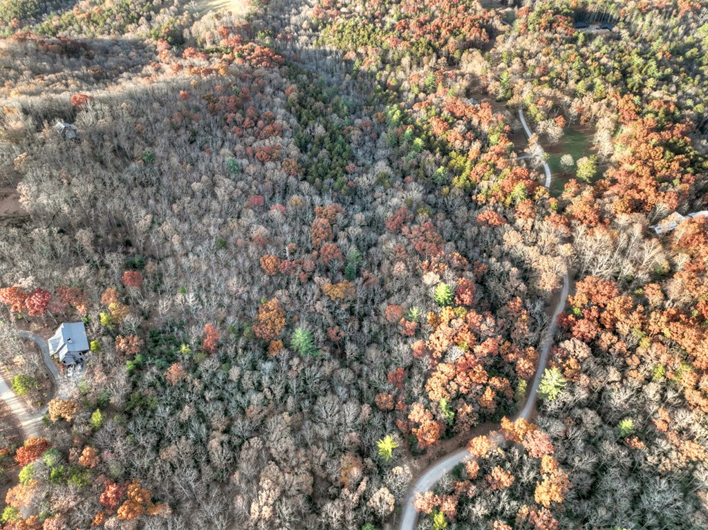 Lot 11 Creek Camp Road Ellijay, GA 30536 - Photo 36 of 40 a view of a tree