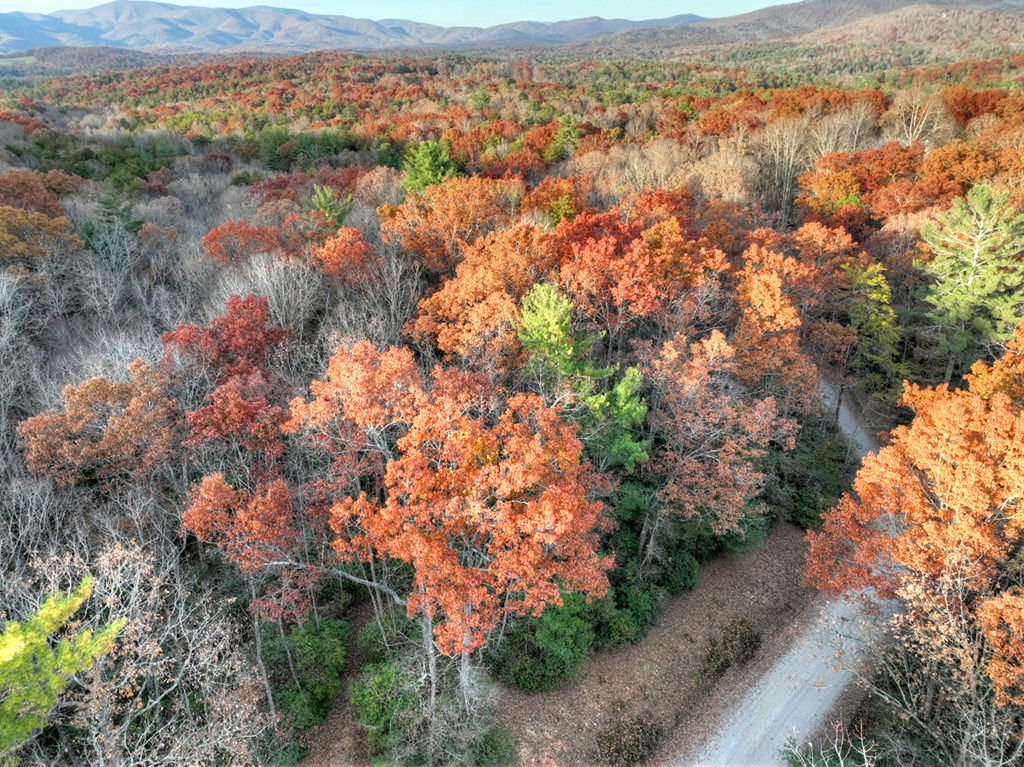 Lot 11 Creek Camp Road Ellijay, GA 30536 - Photo 39 of 40 an aerial view of residential house with outdoor space and trees all around
