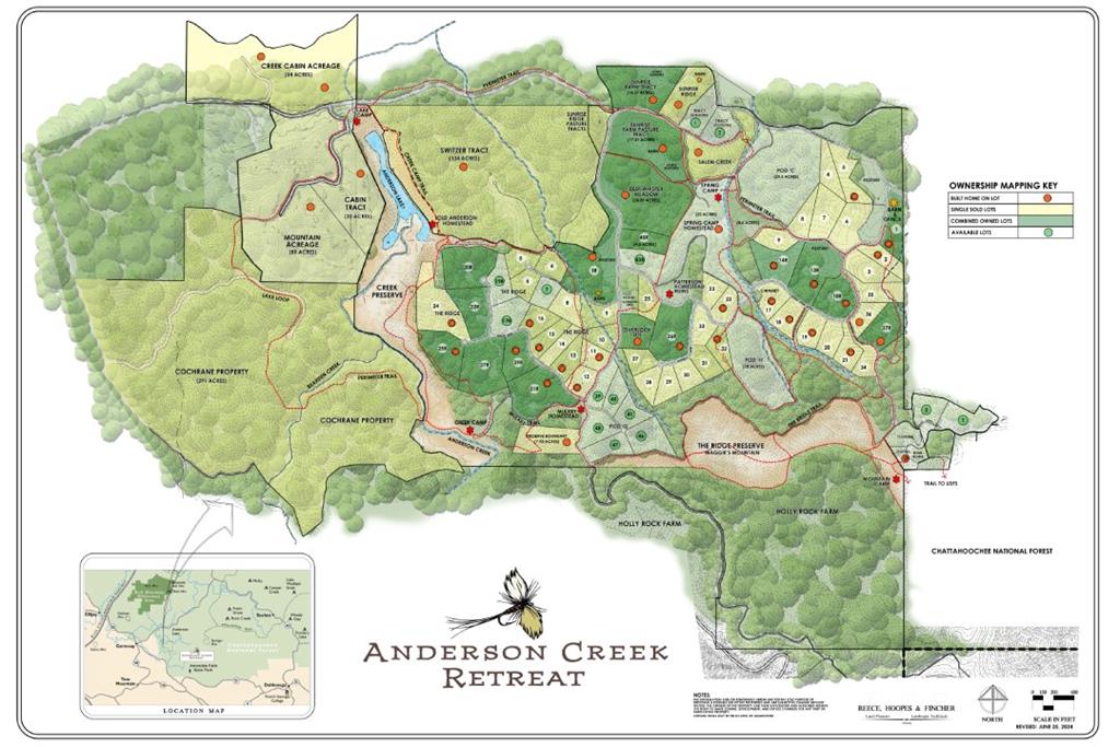 Lot 11 Creek Camp Road Ellijay, GA 30536 - Photo 40 of 40 a picture of a tree