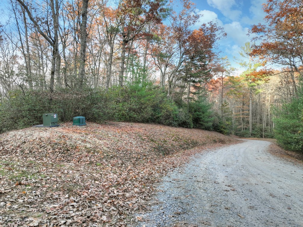Lot 11 Creek Camp Road Ellijay, GA 30536 - Photo 4 of 40 a view of a yard with large trees