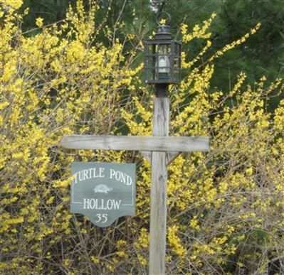 35 Turtle Pond Road Eastham, MA 02642 - Photo 22 of 22 Additional Photo