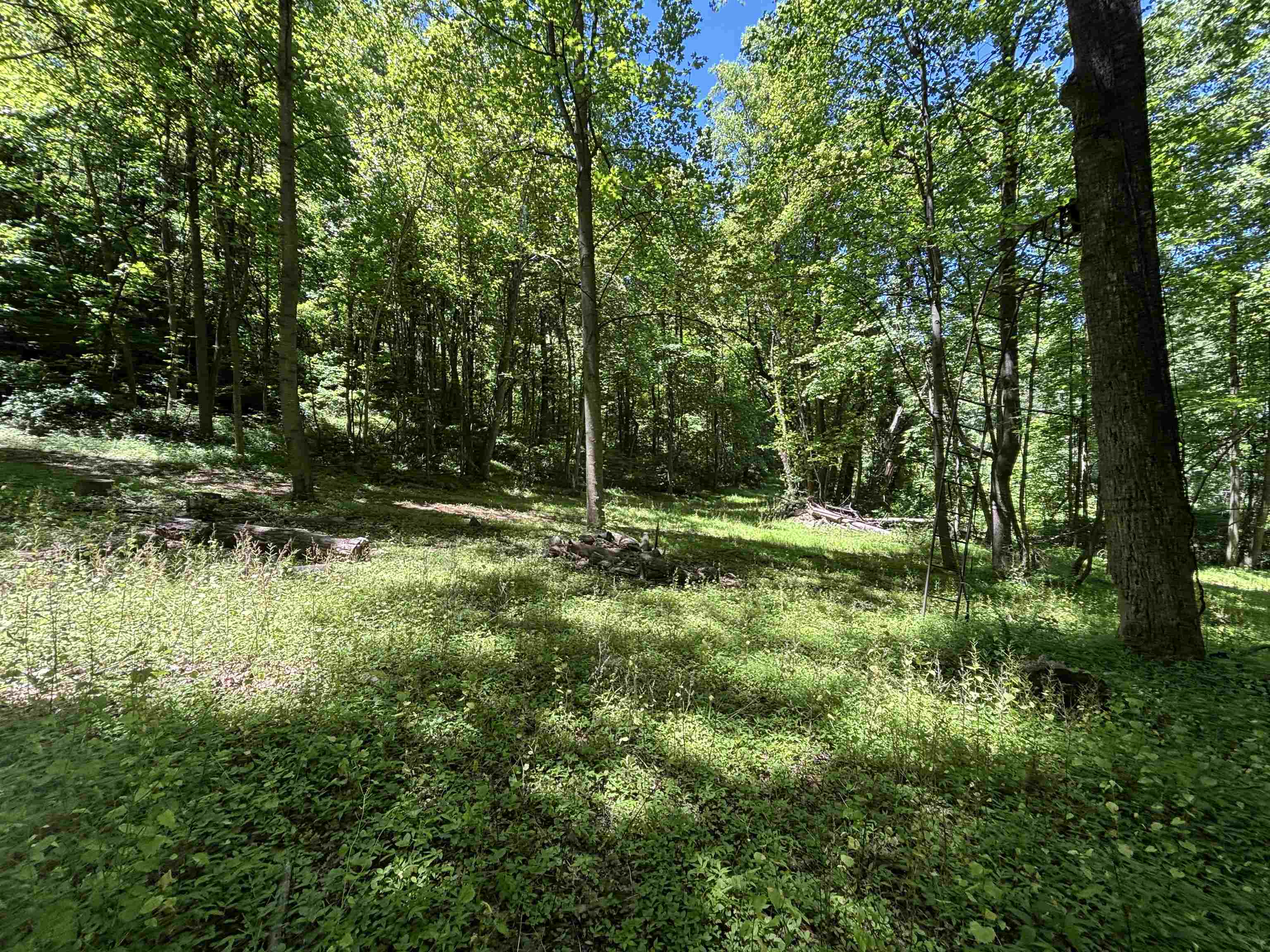 Jordan Hollow Road Stanley, VA 22851 - Photo 13 of 26
