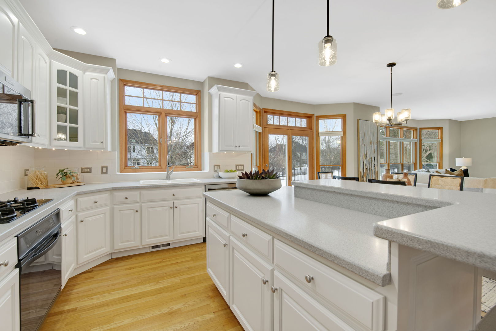 733 Wind Energy Pass Batavia, IL 60510 - Photo 9 of 27