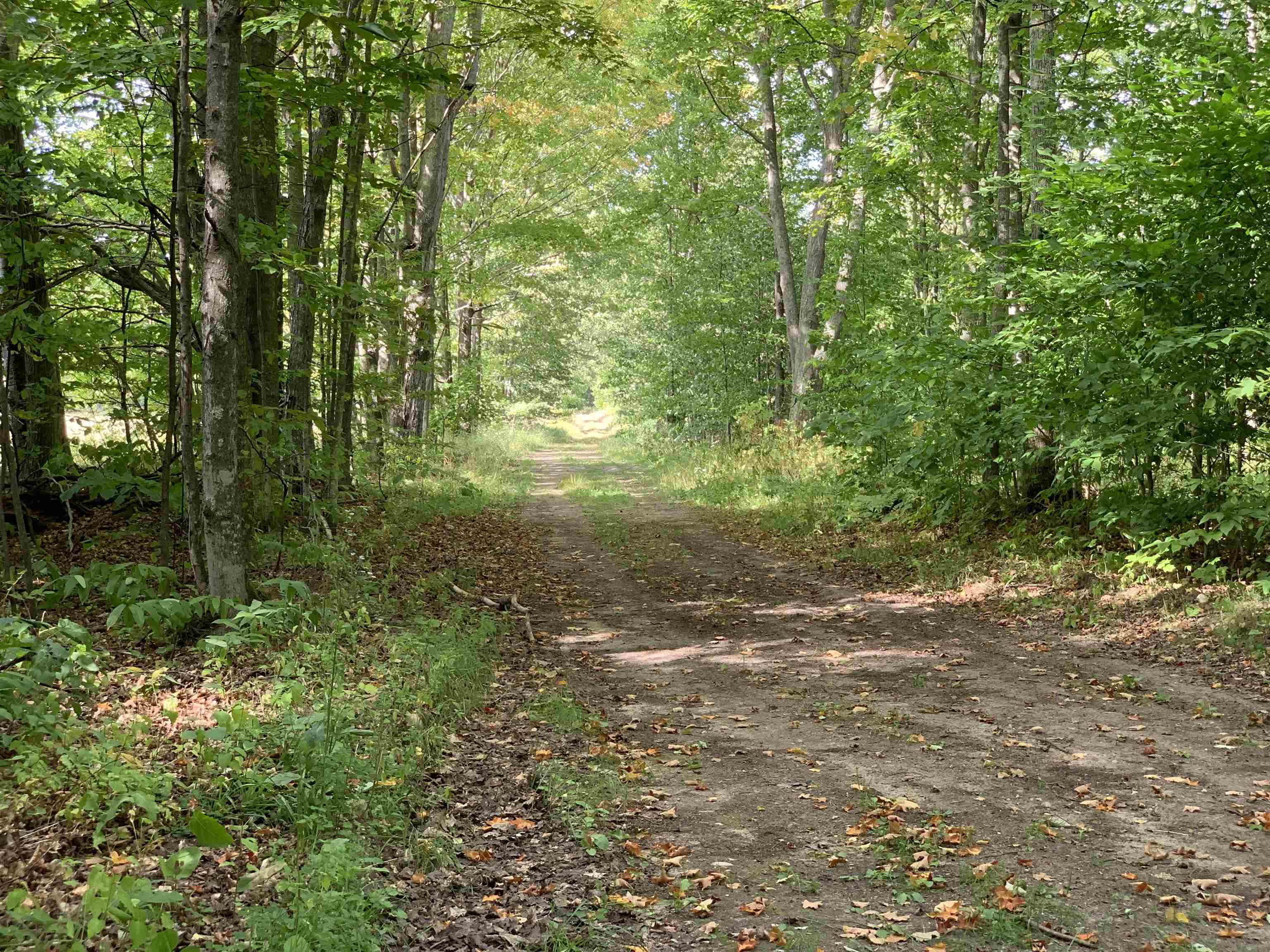 0 Keiser Road Levering, MI 49755 - Photo 16 of 17
