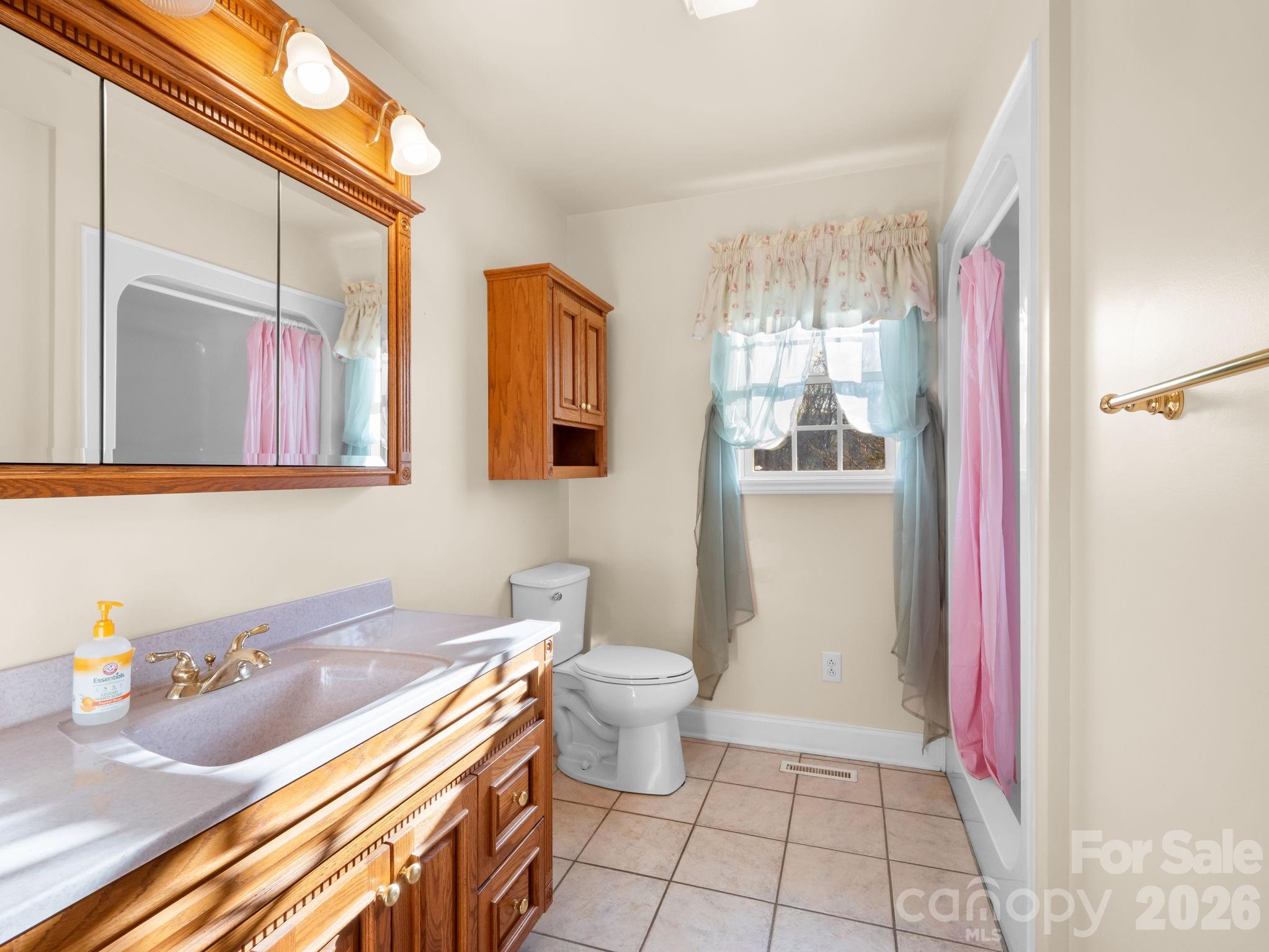 92 Rodaeo Drive Columbus, NC 28722 - Photo 17 of 32 a bathroom with a sink a toilet and shower curtain