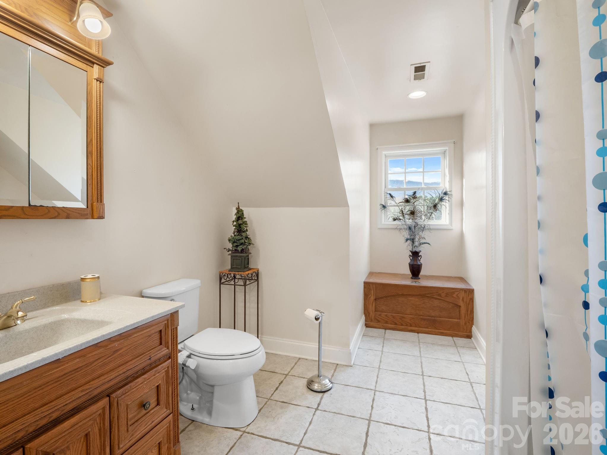 92 Rodaeo Drive Columbus, NC 28722 - Photo 32 of 32 a bathroom with a sink toilet and shower