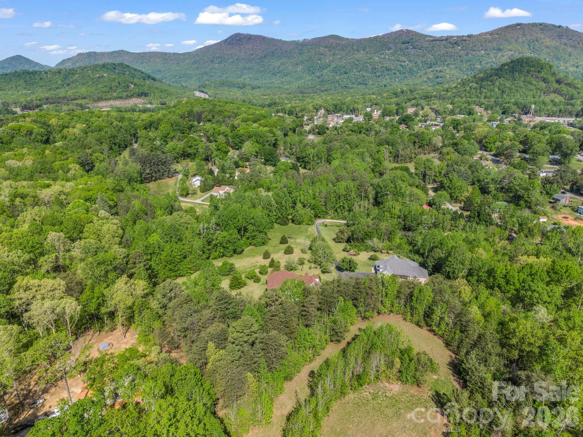 92 Rodaeo Drive Columbus, NC 28722 - Photo 39 of 40 a view of a lush green forest with trees in the background