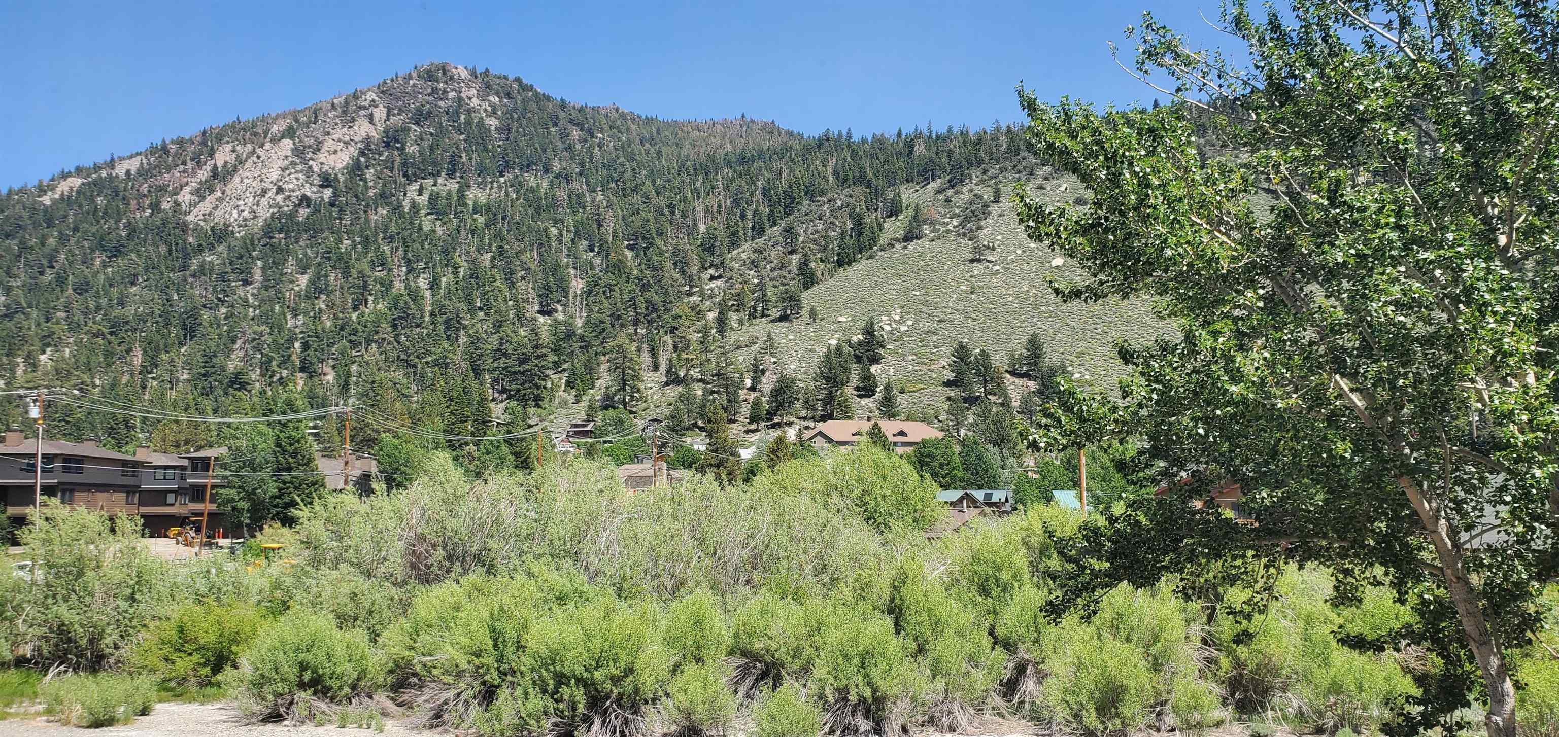 40 Bruce Street June Lake, CA 93529 - Photo 5 of 5