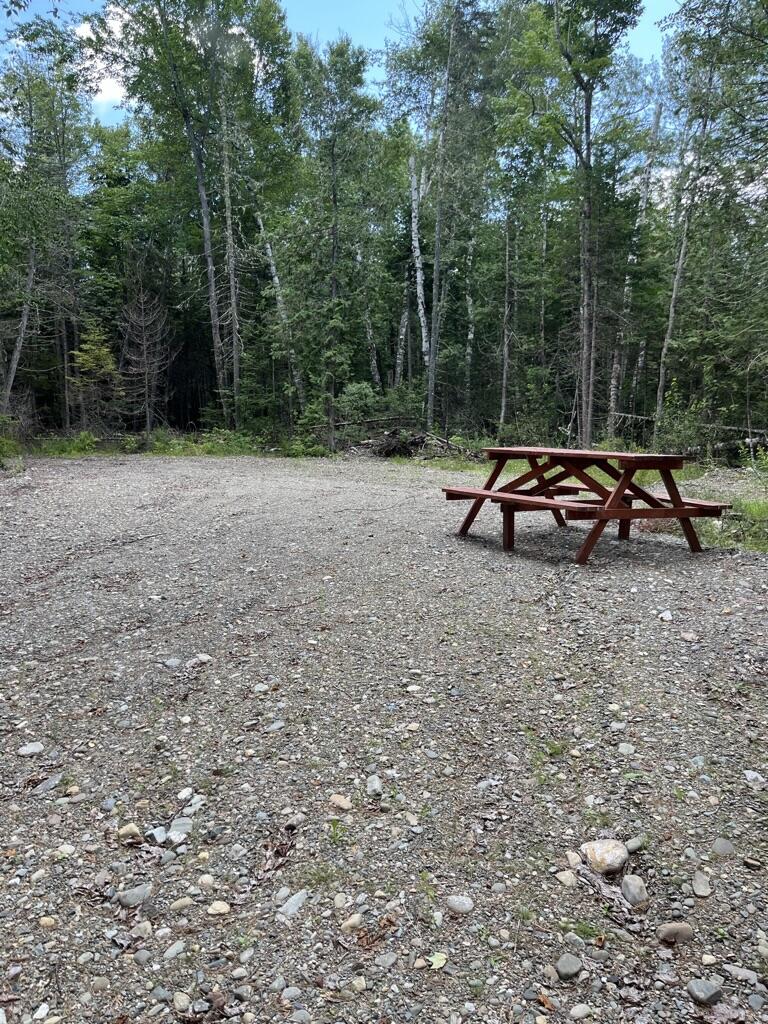 Lot 40 Woodland Ridge Road Danforth, ME 04424 - Photo 19 of 22 E9441A1D-EDDB-4818-A624-64F96D636B34_1_1
