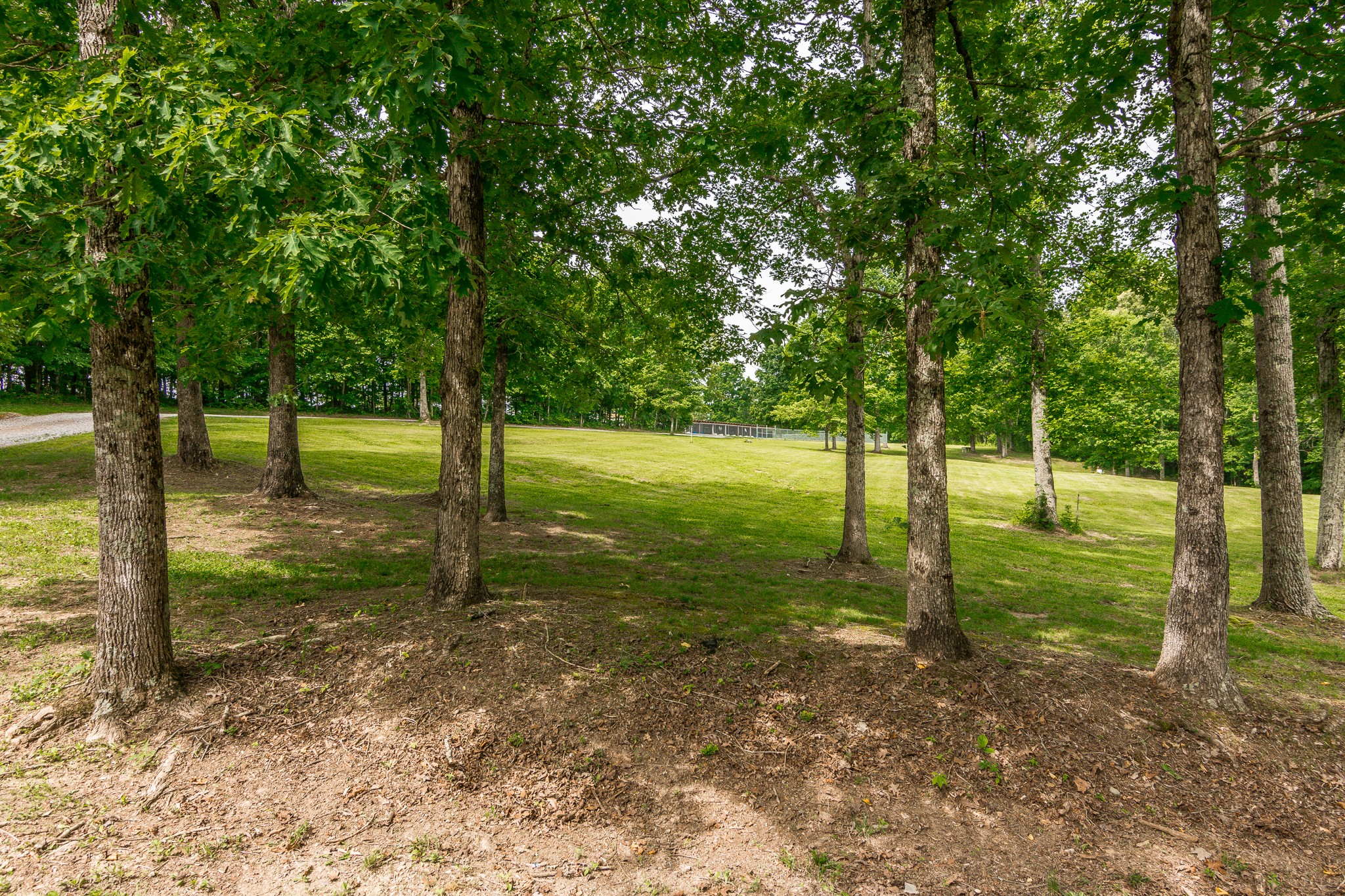 329 Keytown Road Portland, TN 37148 - Photo 34 of 49 Gallery Image 34