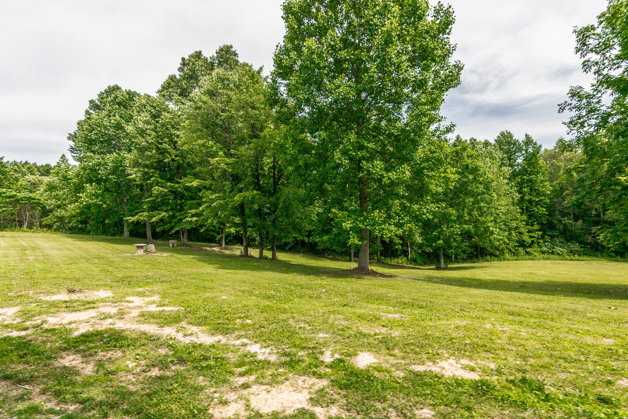 329 Keytown Road Portland, TN 37148 - Photo 36 of 49 Gallery Image 36