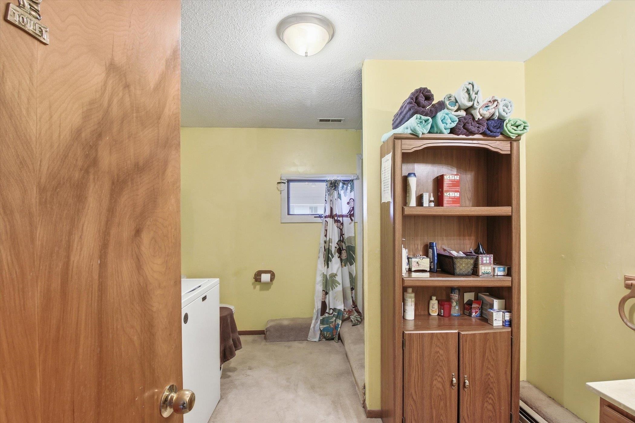 430 Bridge Avenue Alma, MI 48801 - Photo 50 of 66