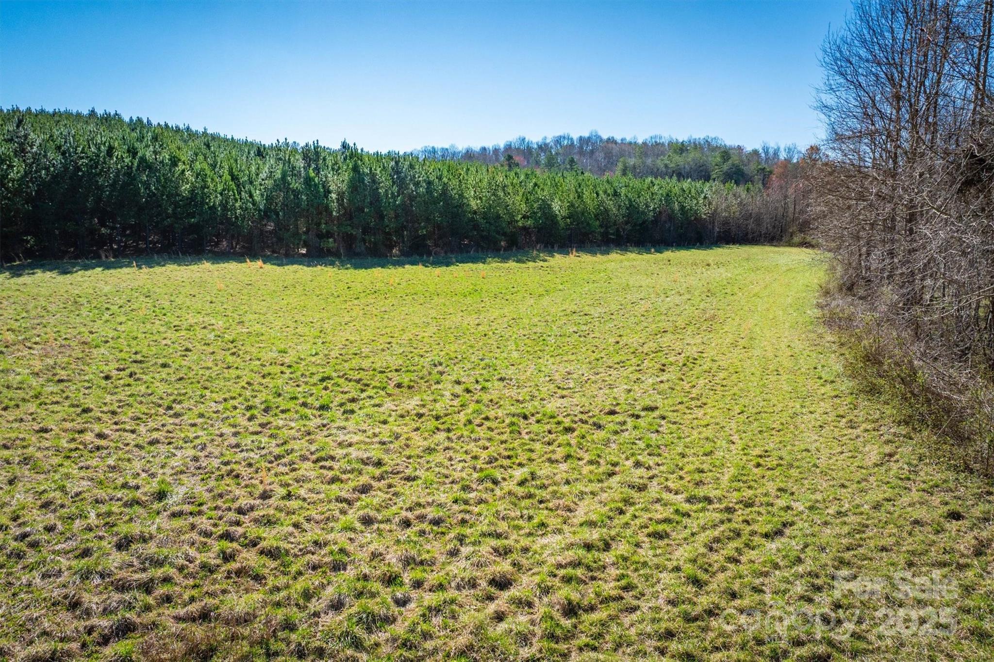 4970 Morrison Road Morganton, NC 28655 - Photo 13 of 18