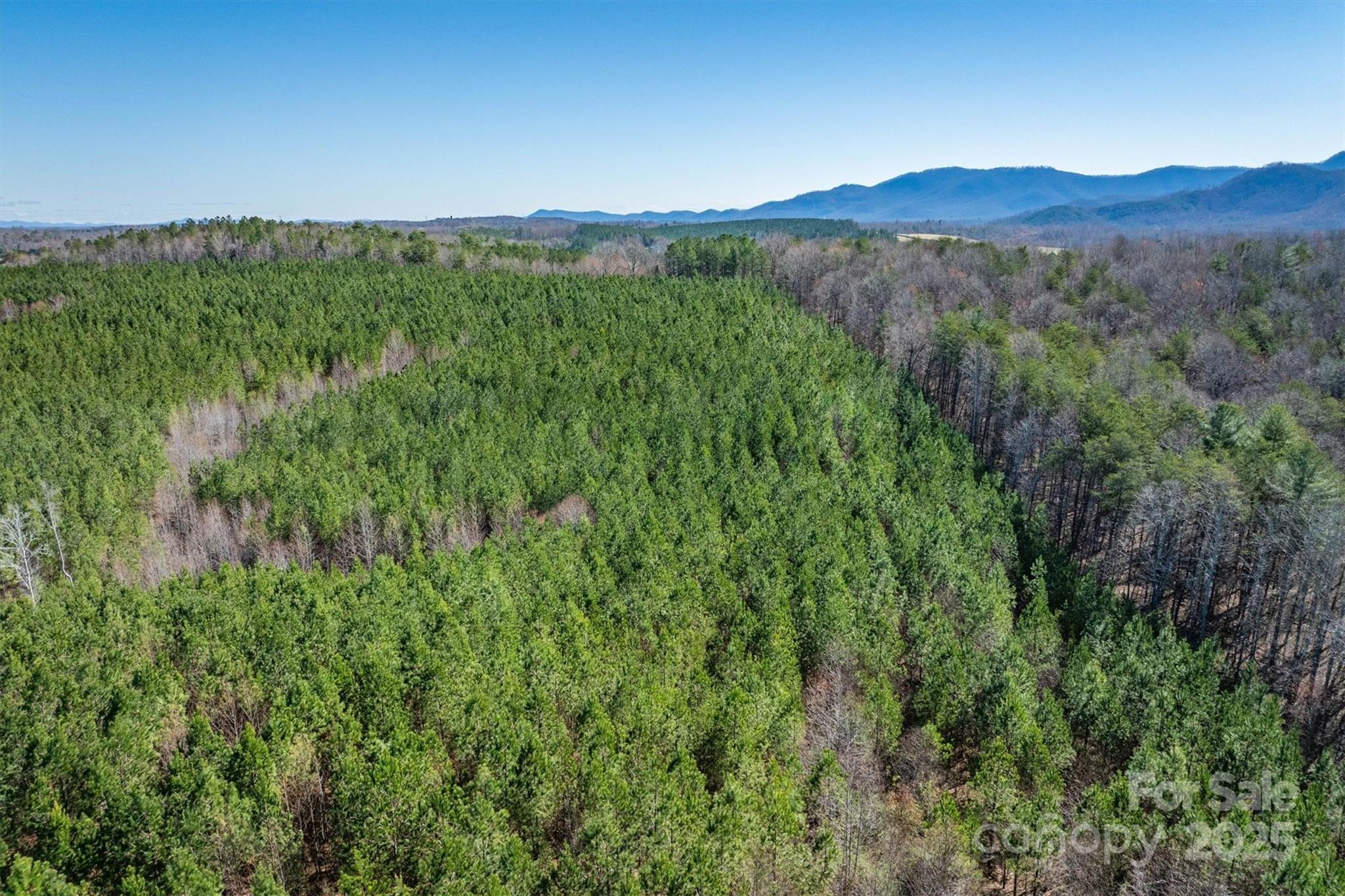 4970 Morrison Road Morganton, NC 28655 - Photo 7 of 18